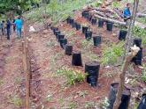 Honduras_Nutrición y seguridad alimentaria
