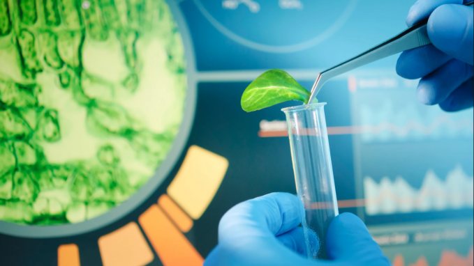 imagen representativa